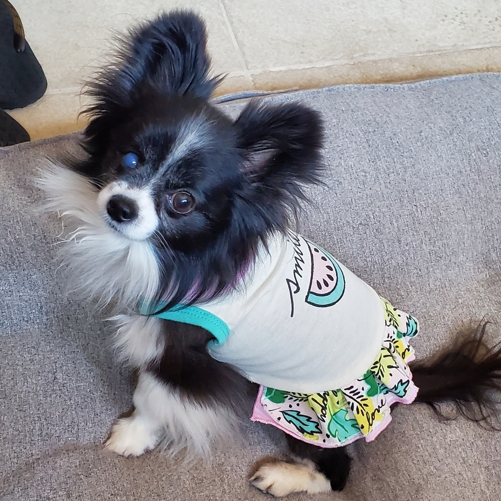 Meet your Posher, Janelle